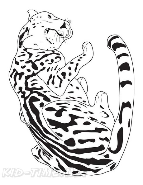 Cheetah_Coloring_Pages_093.jpg
