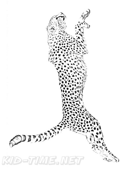 Cheetah_Coloring_Pages_102.jpg