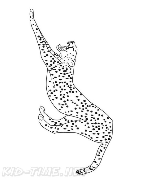 Cheetah_Coloring_Pages_105.jpg