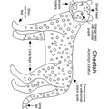 Cheetah_Coloring_Pages_113.jpg