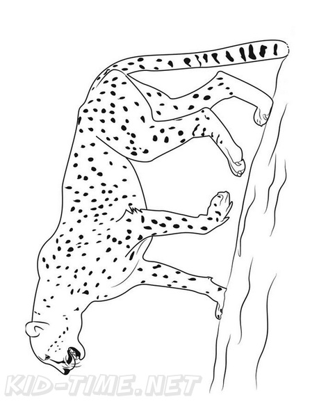 Cheetah_Coloring_Pages_114.jpg