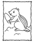 Chipmunk Coloring Book Page