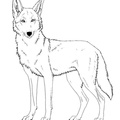 Coyote_Coloring_Pages_008.jpg