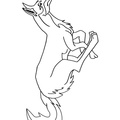 Coyote Coloring Pages 013