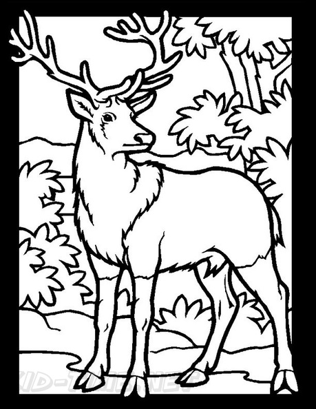 Deer_Coloring_Pages_004.jpg