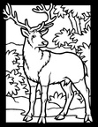 Deer Coloring Pages 004