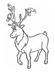 Deer Coloring Pages 015
