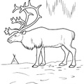 Deer Coloring Pages 017