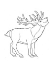 Deer Coloring Pages 020