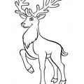 Deer Coloring Pages 022