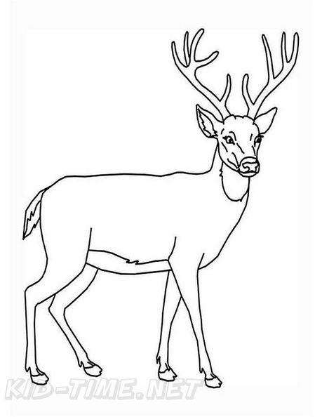 Deer_Coloring_Pages_023.jpg