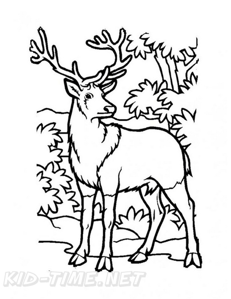Deer_Coloring_Pages_024.jpg
