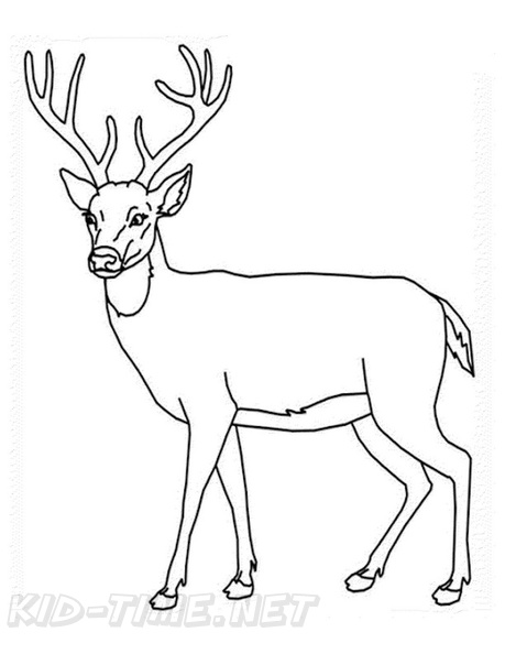 Deer_Coloring_Pages_030.jpg