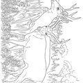 Deer Coloring Pages 031