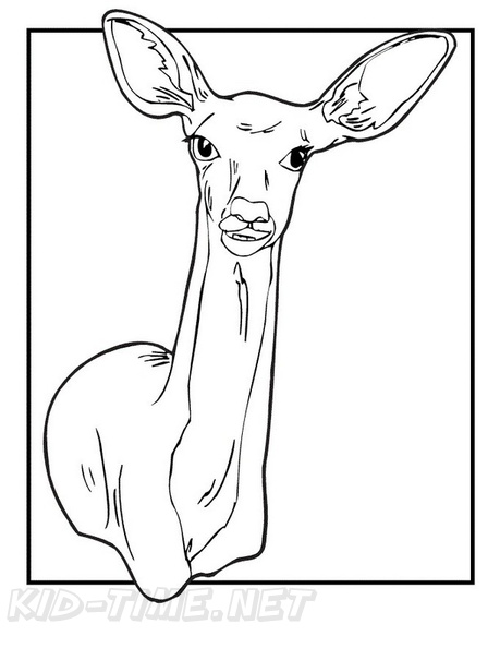 Deer_Coloring_Pages_037.jpg