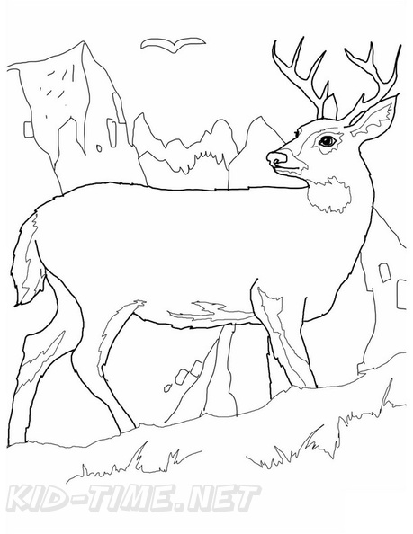 Deer_Coloring_Pages_041.jpg