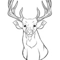 Deer_Coloring_Pages_045.jpg