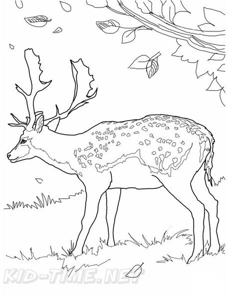Deer_Coloring_Pages_046.jpg