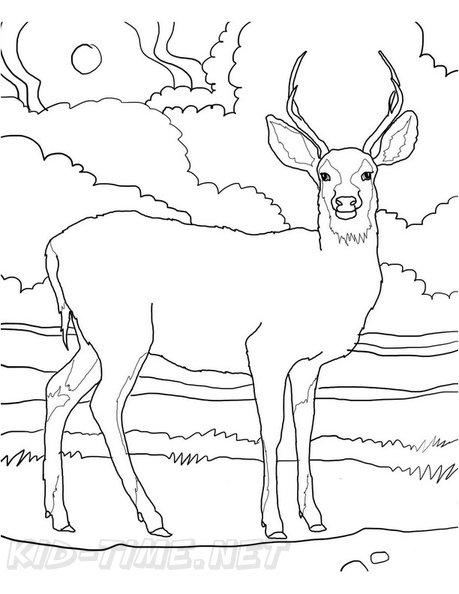Deer_Coloring_Pages_055.jpg