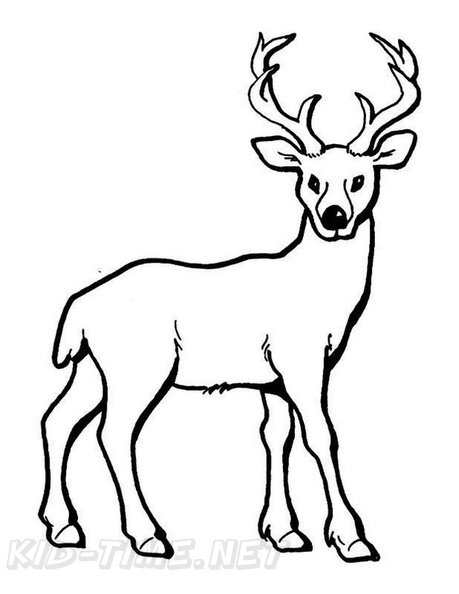 Deer_Coloring_Pages_058.jpg
