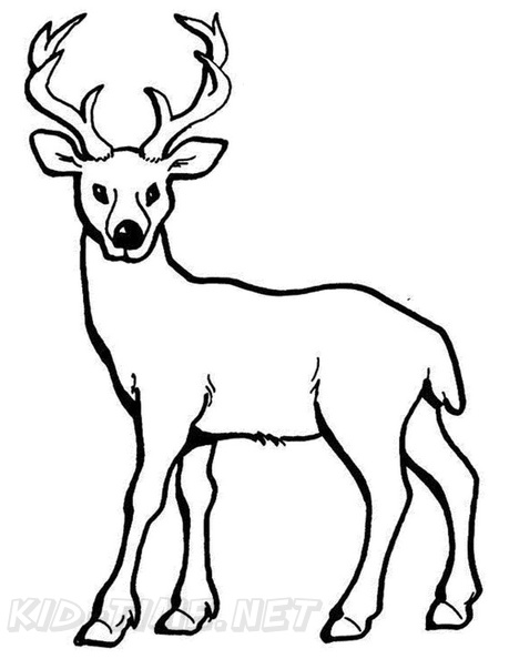 Deer_Coloring_Pages_063.jpg