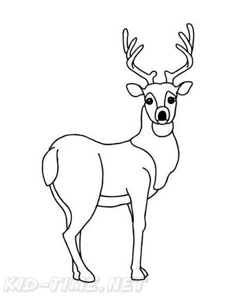 Deer_Coloring_Pages_065.jpg