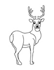 Deer Coloring Pages 065