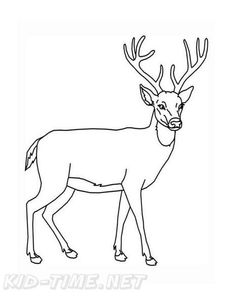 Deer_Coloring_Pages_069.jpg