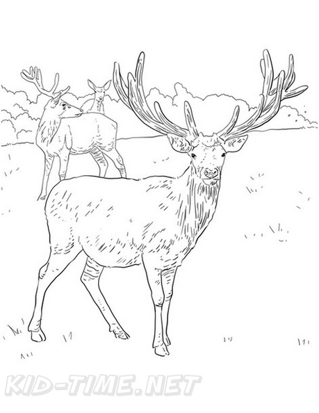 Deer_Coloring_Pages_070.jpg