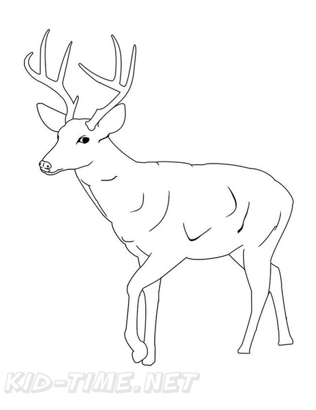 Deer_Coloring_Pages_073.jpg