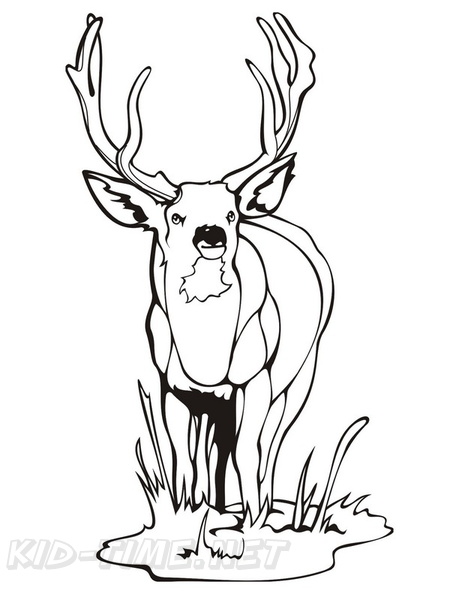 Deer_Coloring_Pages_075.jpg