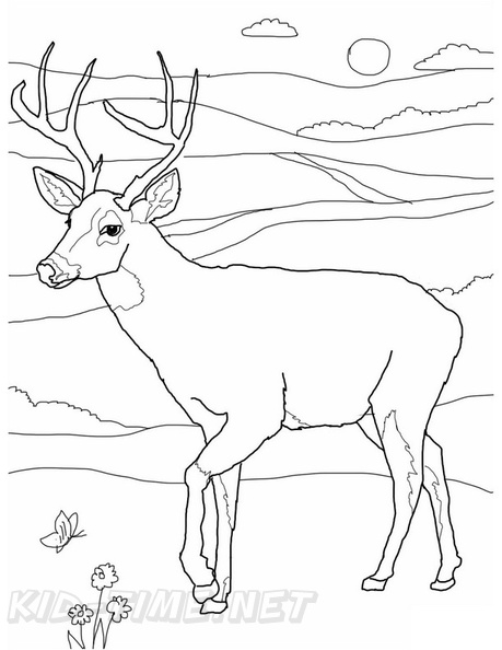 Deer_Coloring_Pages_079.jpg
