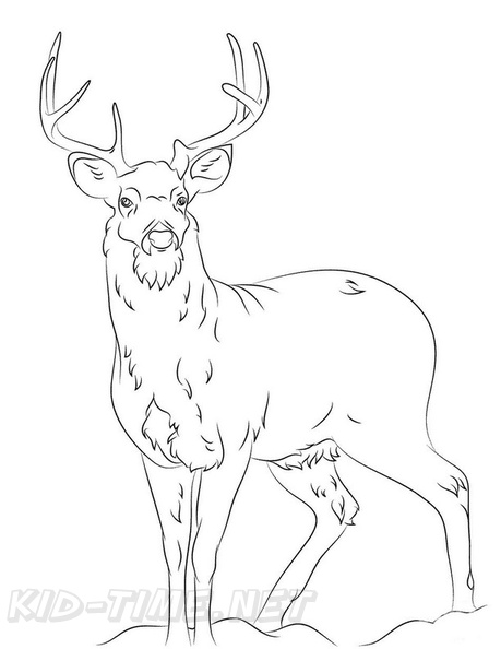 Deer_Coloring_Pages_080.jpg
