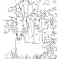 Deer Coloring Pages 089