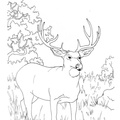 Deer_Coloring_Pages_090.jpg