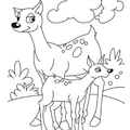 Deer_Family_Coloring_Pages_002.jpg