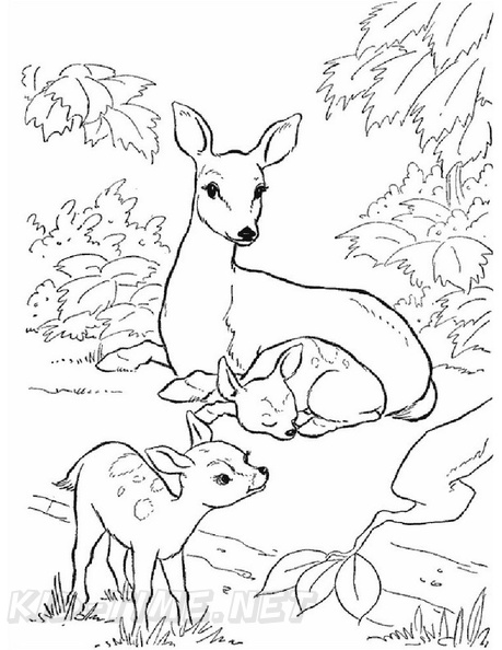 Deer_Family_Coloring_Pages_007.jpg
