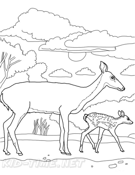 Deer_Family_Coloring_Pages_010.jpg