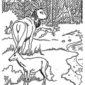 Deer Family Coloring Book Page