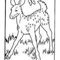 Fawn_Coloring_Pages_001.jpg