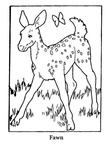 Baby Deer Fawn Coloring Book Page