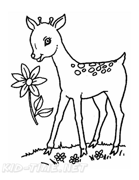 Fawn_Coloring_Pages_003.jpg