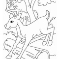 Fawn_Coloring_Pages_007.jpg