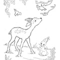 Fawn_Coloring_Pages_008.jpg