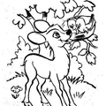 Fawn_Coloring_Pages_011.jpg