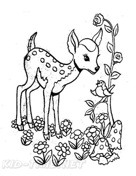 Fawn_Coloring_Pages_013.jpg