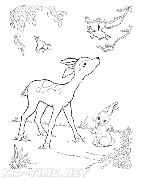 Fawn_Coloring_Pages_027.jpg