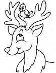 Reindeer / Caribou Coloring Book Page