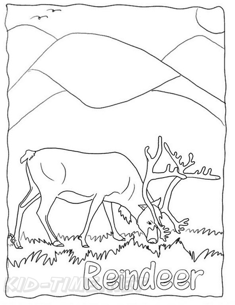 Reindeer_Caribou_Coloring_Pages_031.jpg