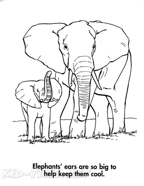 Baby Elephant Coloring Book Page Free Coloring Book Pages Printables